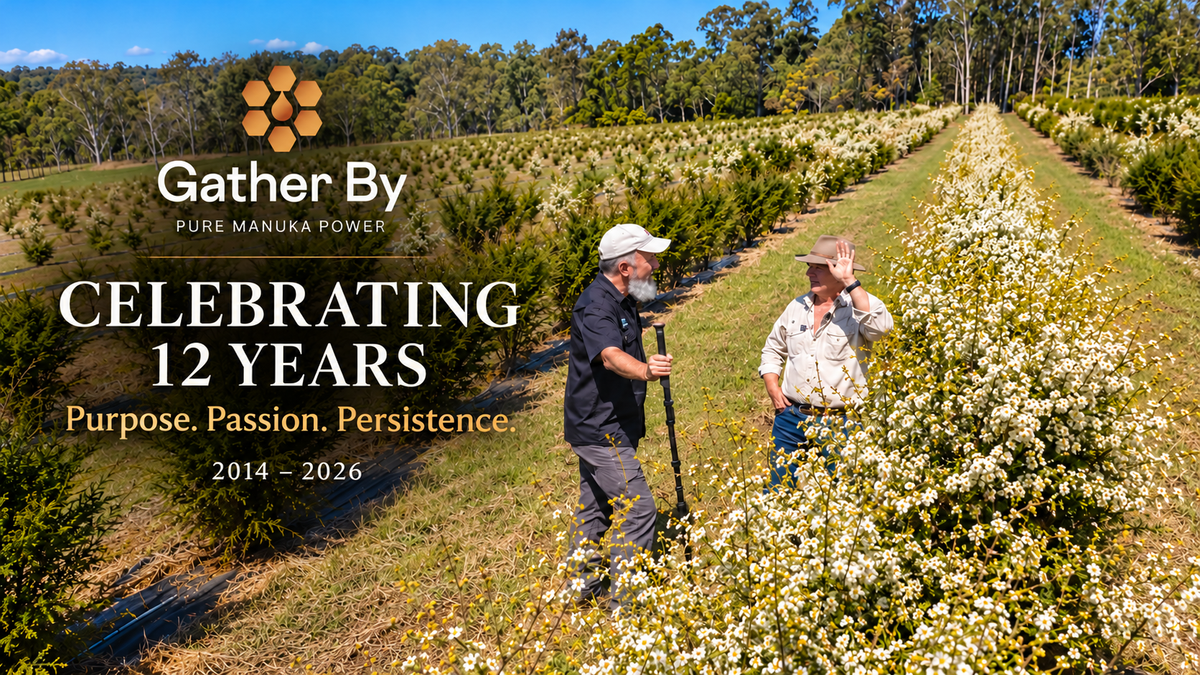 12 Years of Gather By — Purpose. Passion. Persistence