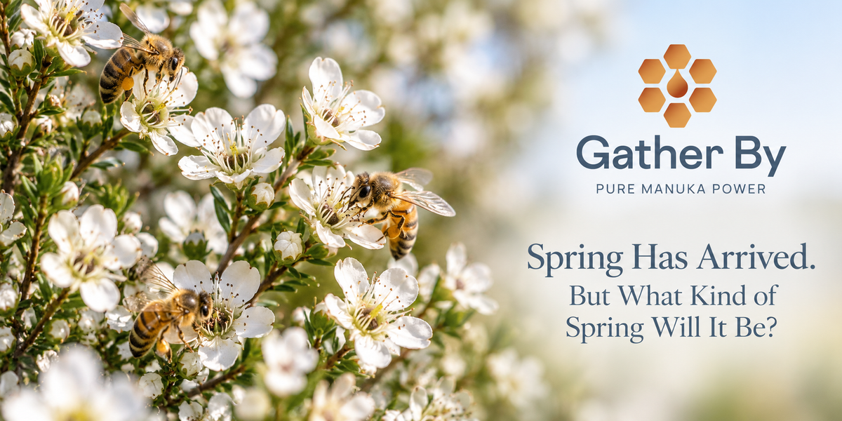 Spring Has Arrived. But What Kind of Spring Will It Be?