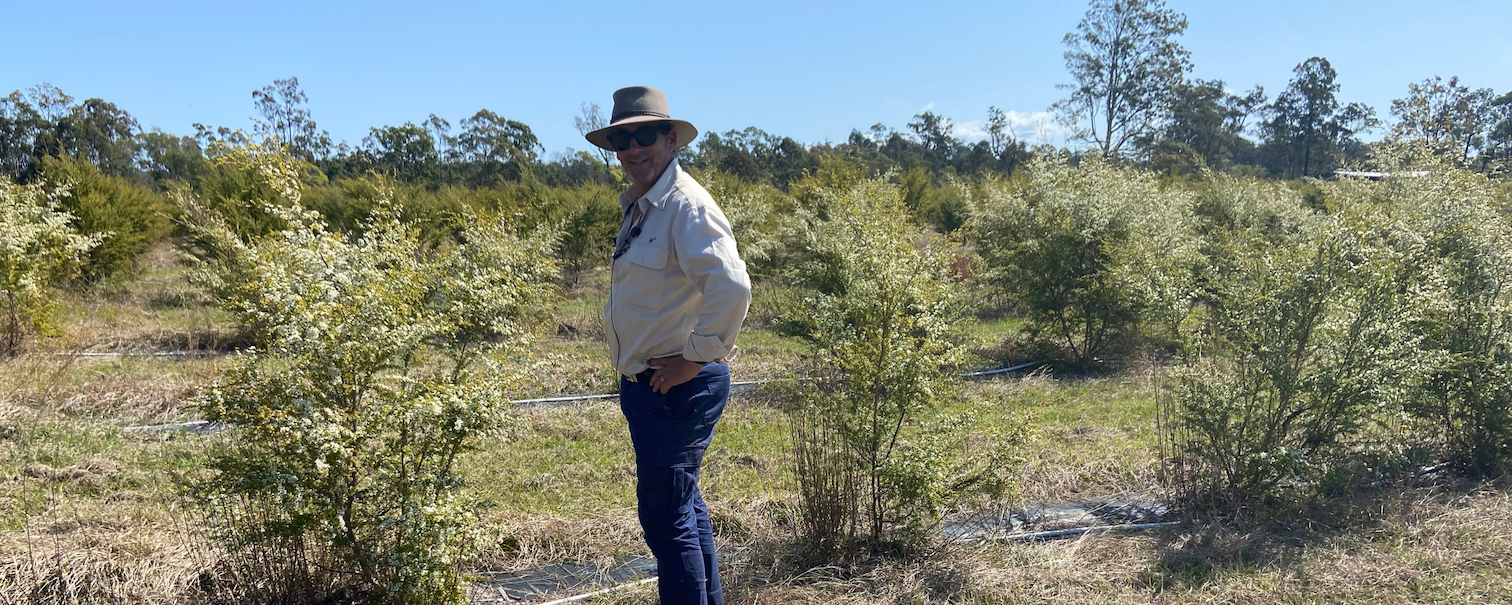 A Grower Case Study - Meet Herbert