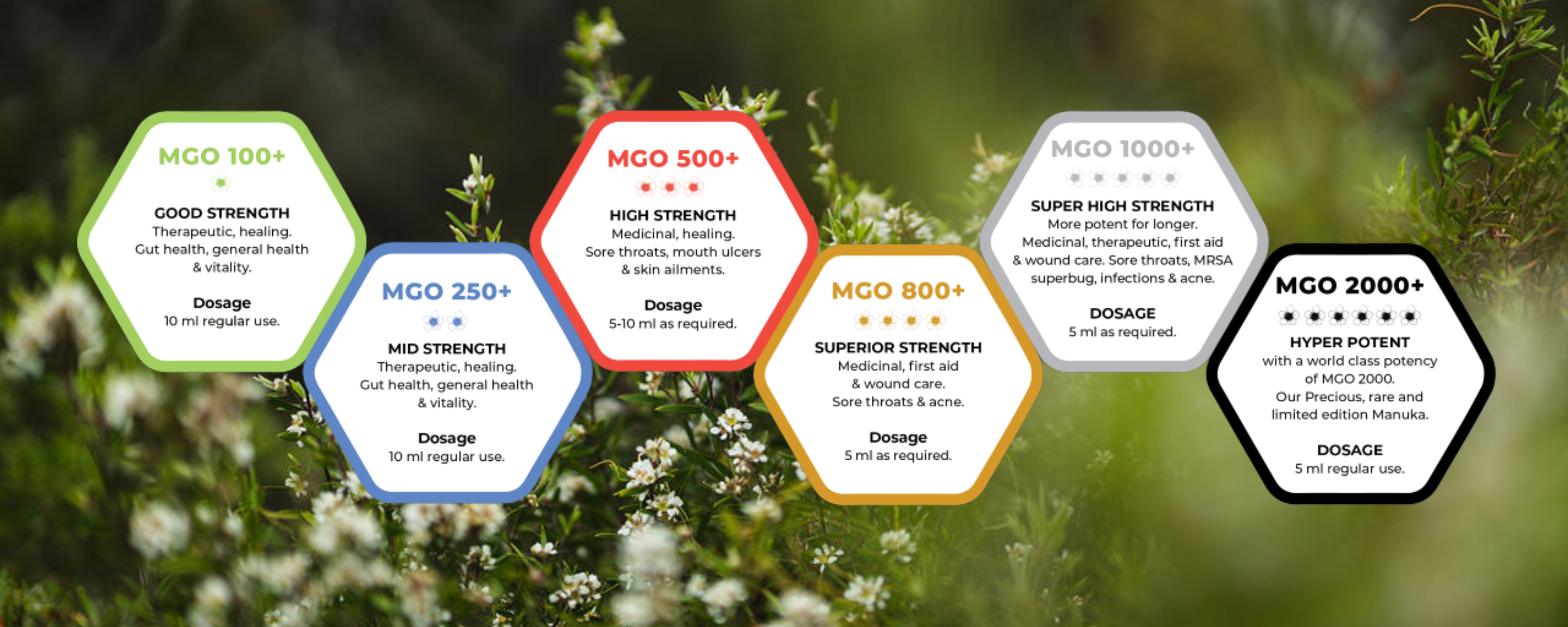 What is 'MGO' in Manuka Honey?