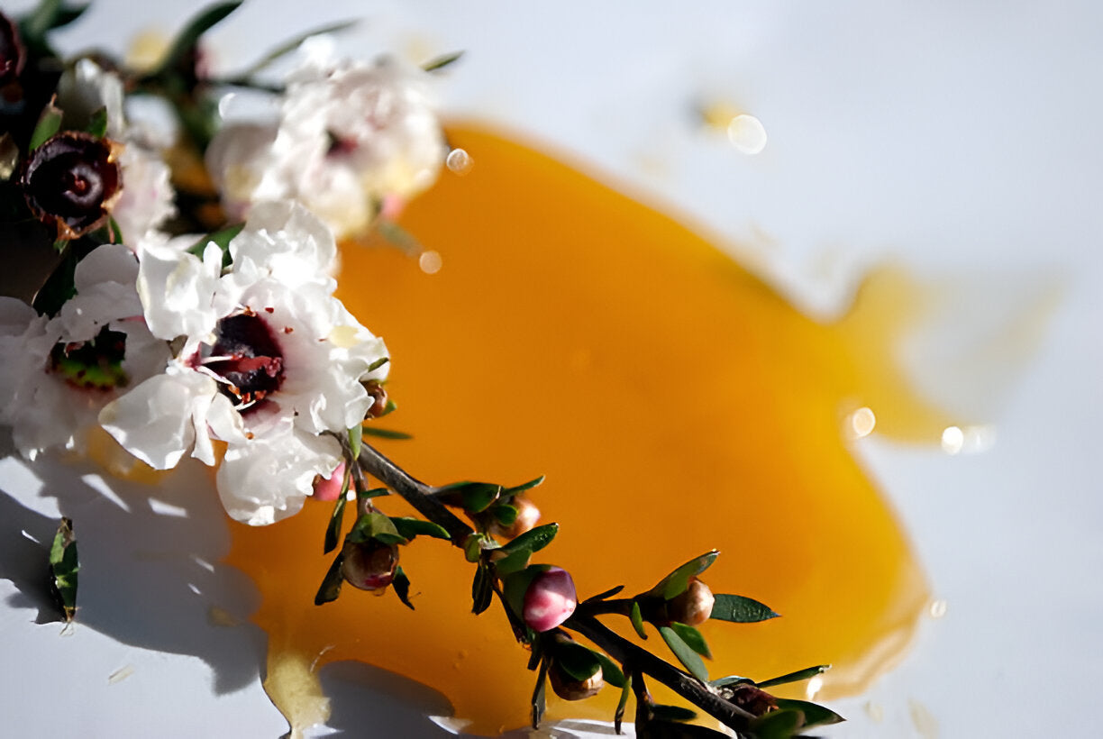 How Manuka Honey Helps Relieve Seasonal Allergies and Promotes Respiratory Health