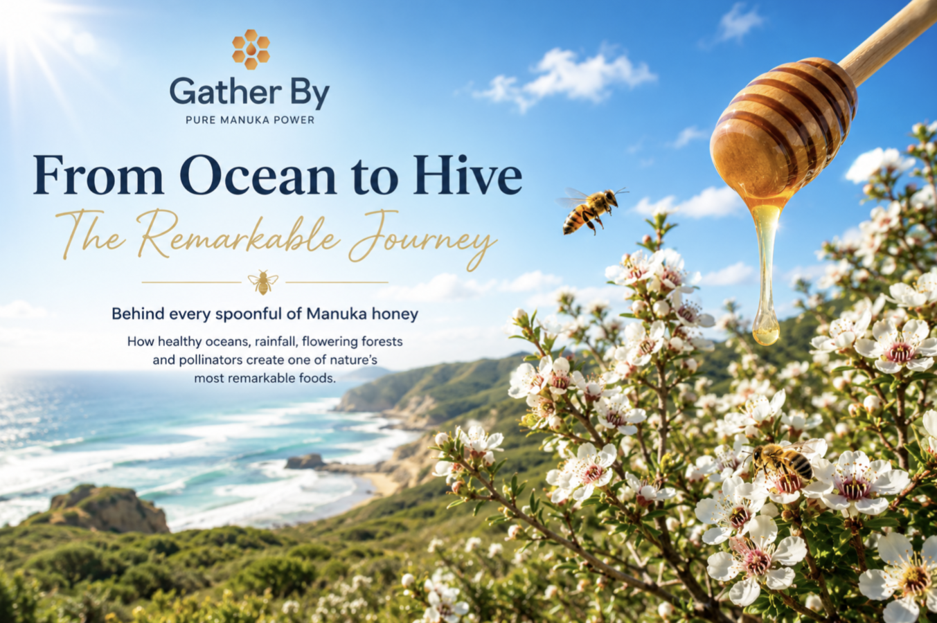 From Ocean to Hive: The Remarkable Journey Behind Every Spoonful of Manuka Honey