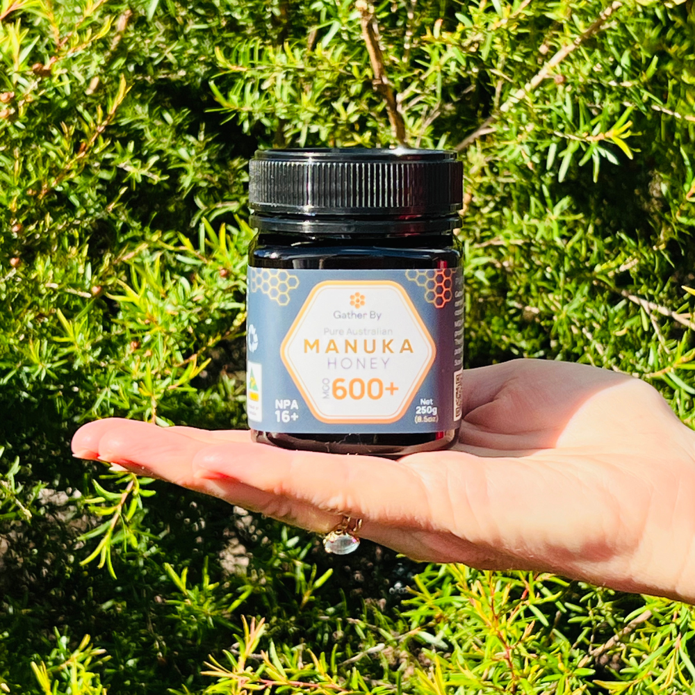 Manuka Honey MGO 600+ | NPA 16+
