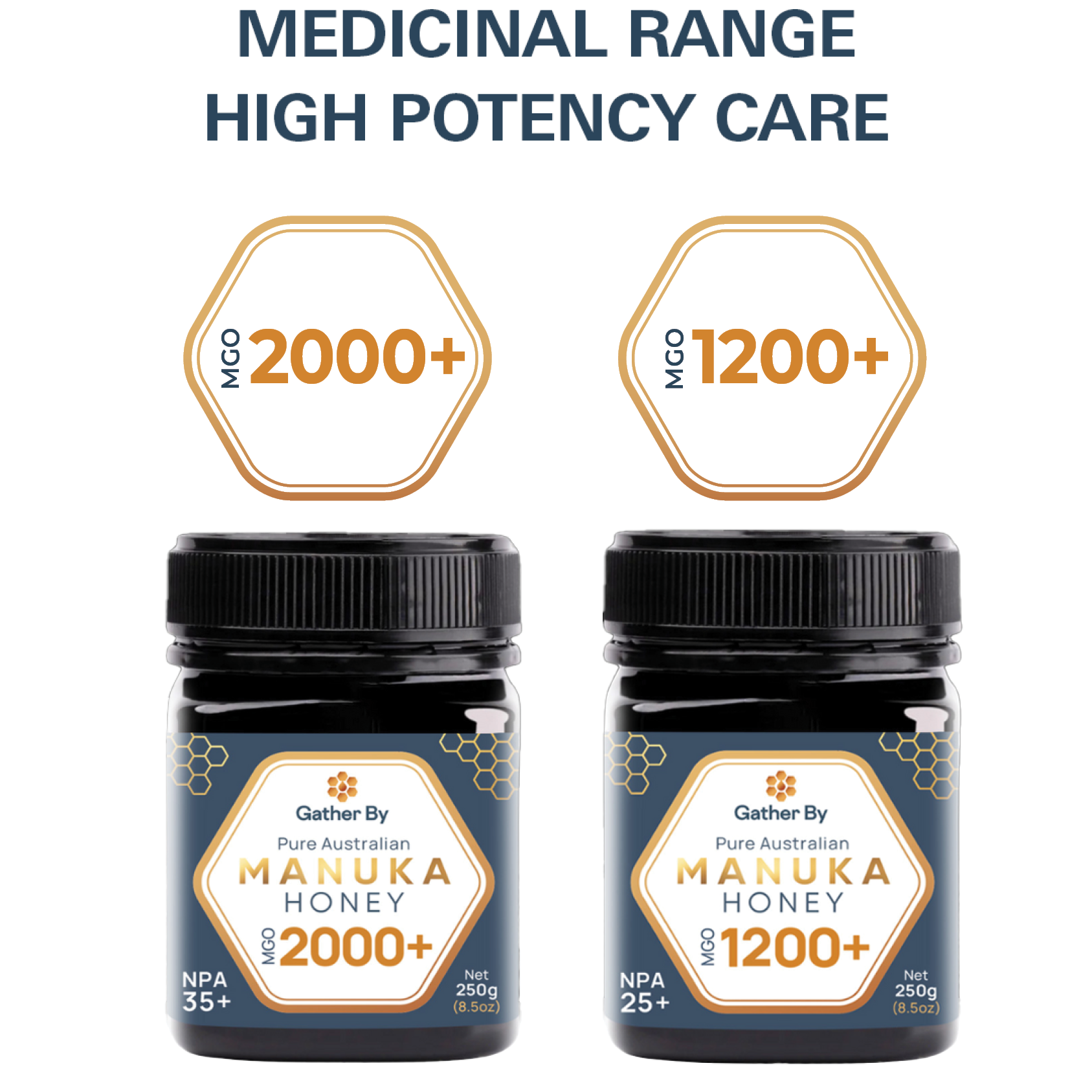 Medicinal Range High Potency Care – 2 Pack Manuka Honey MGO 2000+ and MGO 1200+
