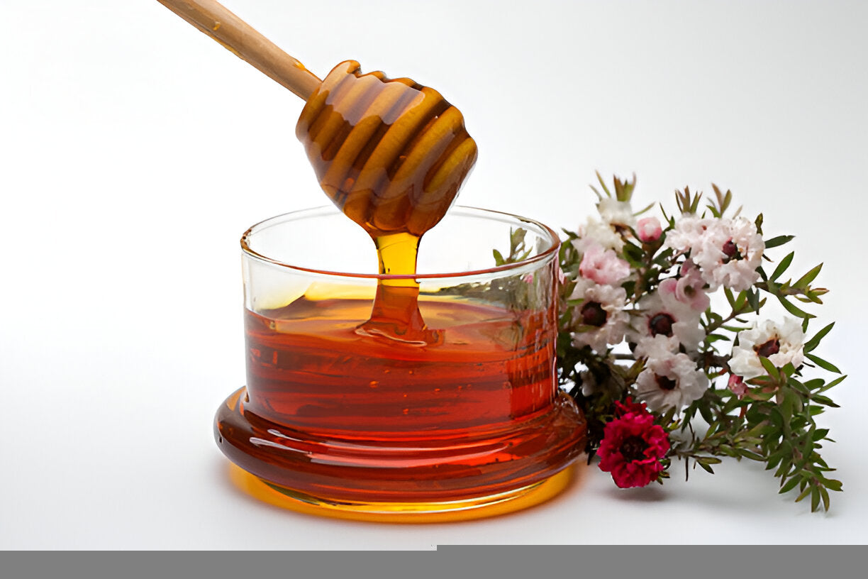 Advantages of Manuka Honey and Immune System Health