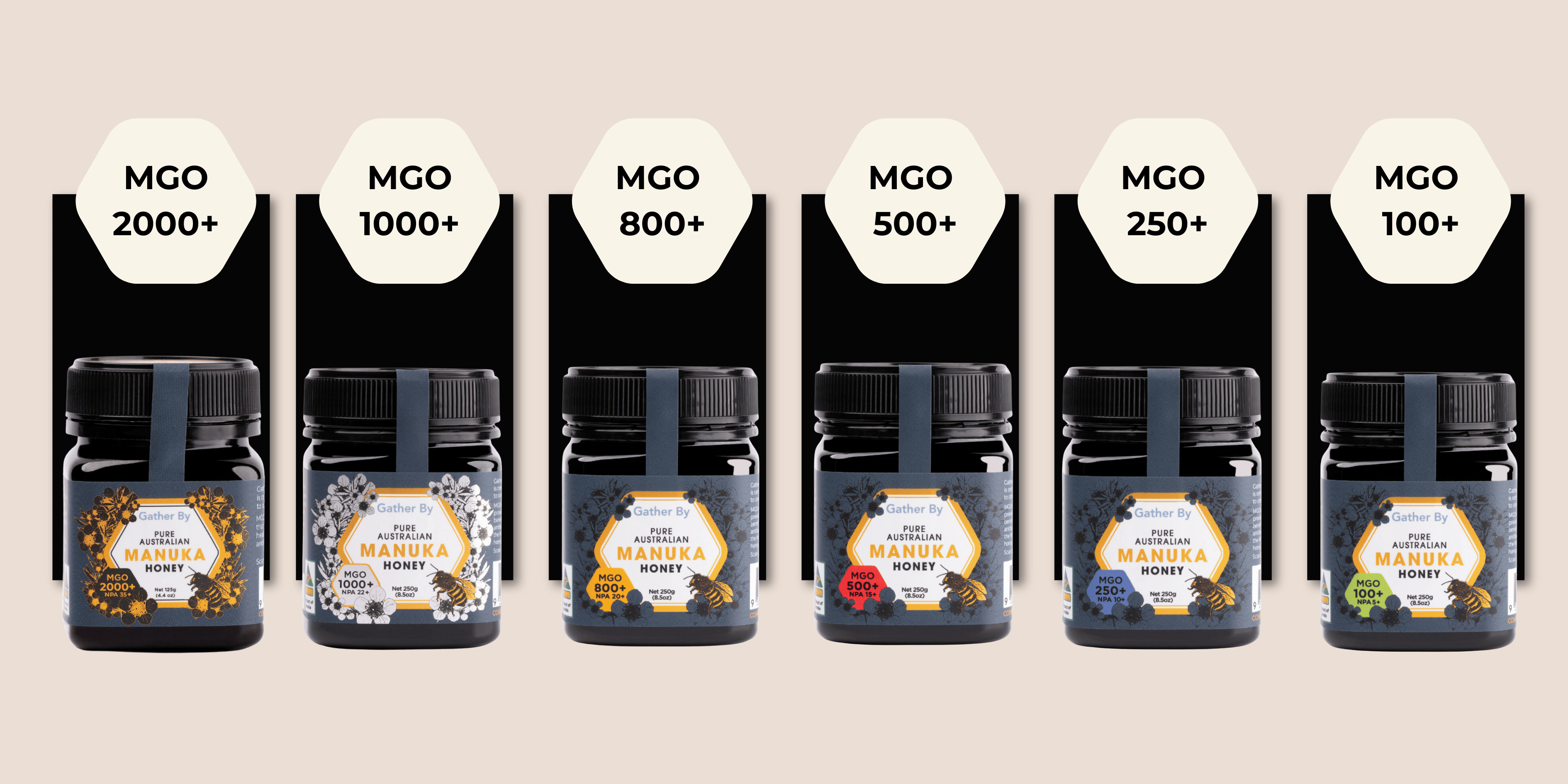 6 manuka honey jars mgo 2000 mgo 1000 mgo 800 mgo 500 mgo 250 mgo 100