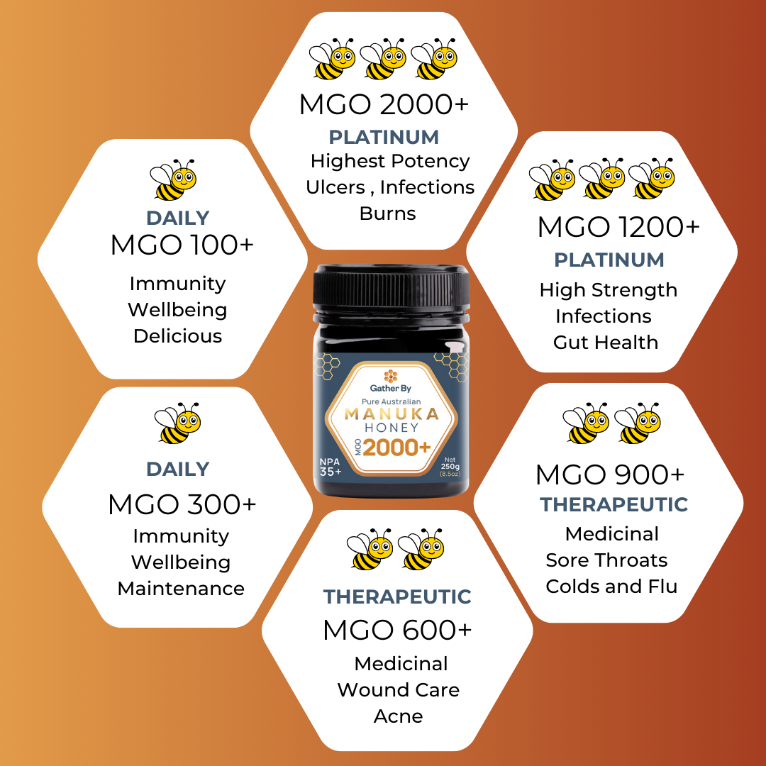 Australian Manuka Honey MGO 1200 NPA 25 australian-manuka-honey-mgo-1200-npa-25