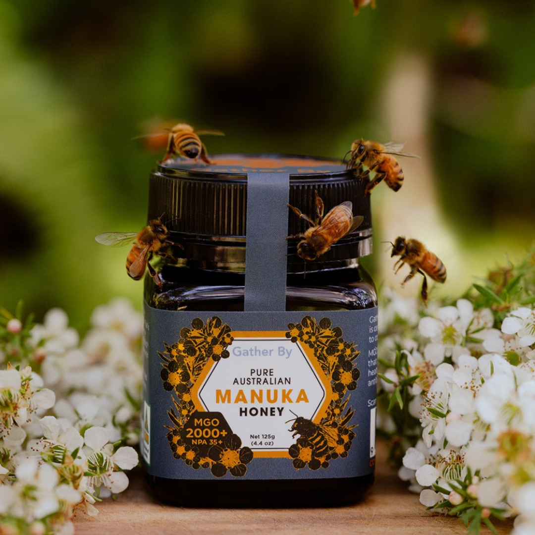 Buy Manuka Medicinal Honey MGO 2000+ | Gather By Manuka